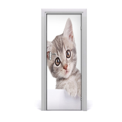 Self-adhesive door sticker Wall gray cat