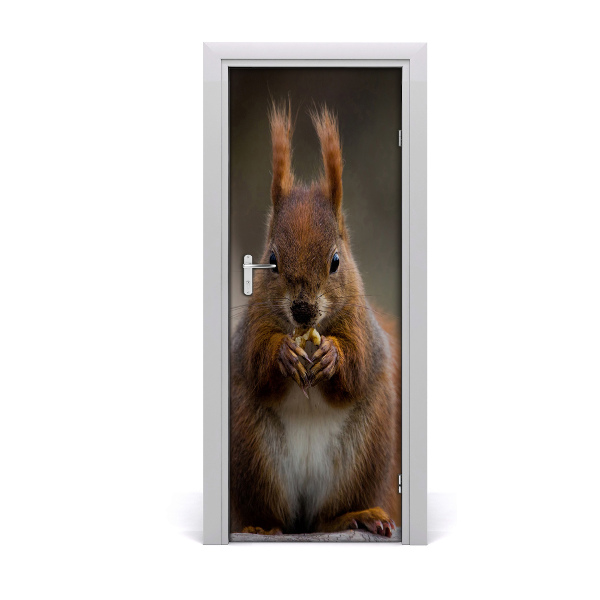 Self-adhesive door sticker The wall of the squirrel