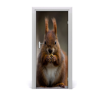 Self-adhesive door sticker The wall of the squirrel