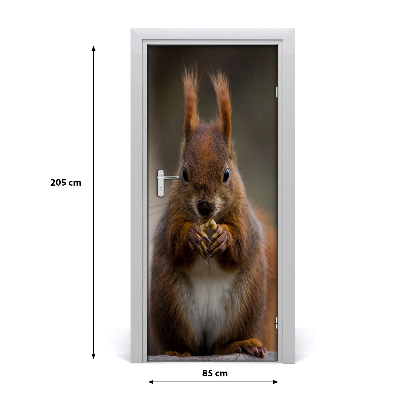 Self-adhesive door sticker The wall of the squirrel