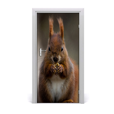 Self-adhesive door sticker The wall of the squirrel