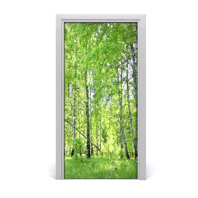 Door wallpaper Birch forest