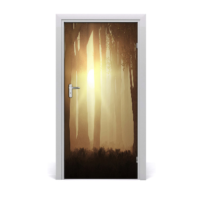 Door wallpaper Fog in the forest