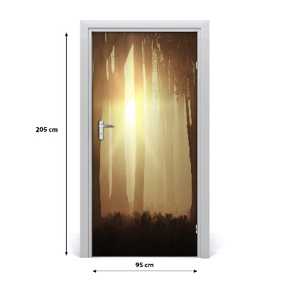 Door wallpaper Fog in the forest