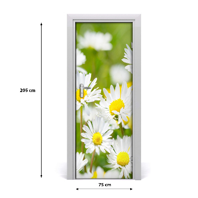 Self-adhesive door sticker Daisies