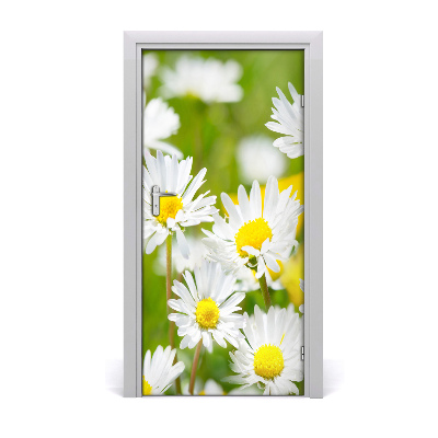 Self-adhesive door sticker Daisies