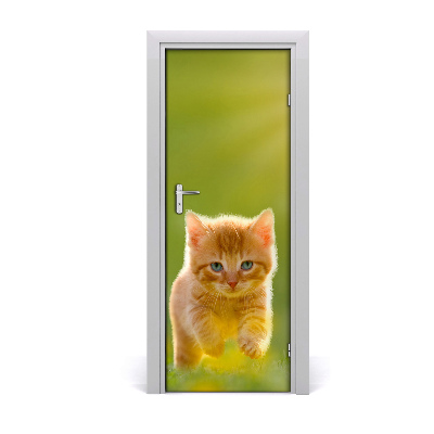 Self-adhesive door sticker Wall of red cat