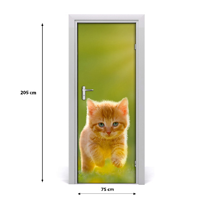 Self-adhesive door sticker Wall of red cat