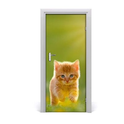 Self-adhesive door sticker Wall of red cat