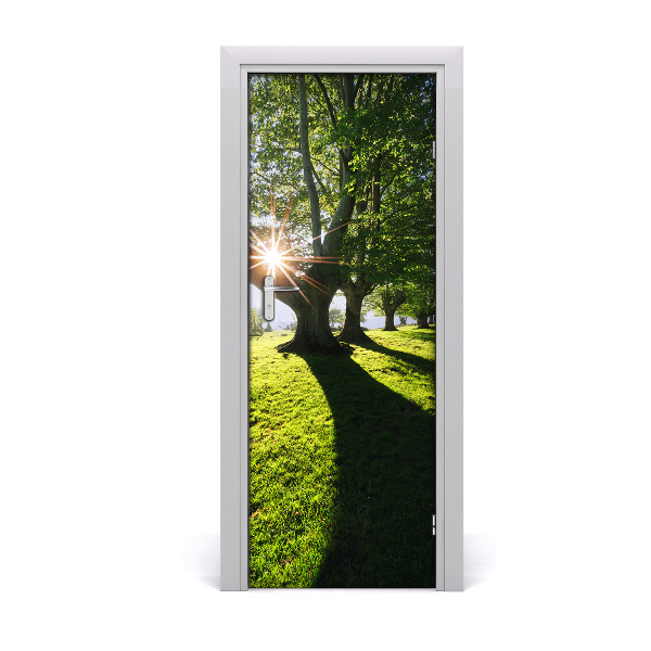 Door wallpaper Landscapes park