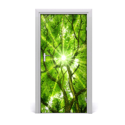 Self-adhesive door sticker The crown of trees