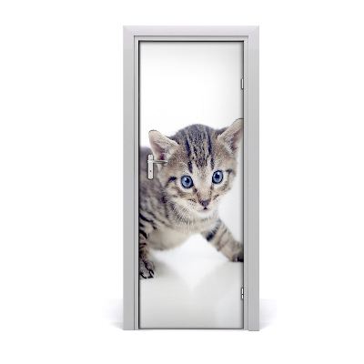 Self-adhesive door sticker Wall small cat