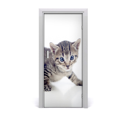 Self-adhesive door sticker Wall small cat