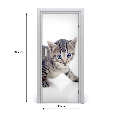 Self-adhesive door sticker Wall small cat