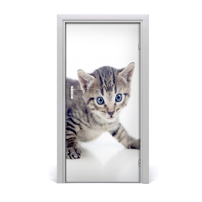 Self-adhesive door sticker Wall small cat