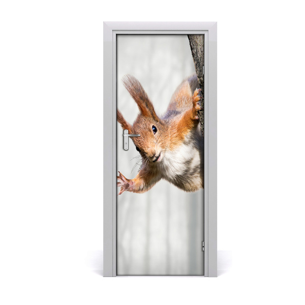 Self-adhesive door sticker Squirrel on the tree