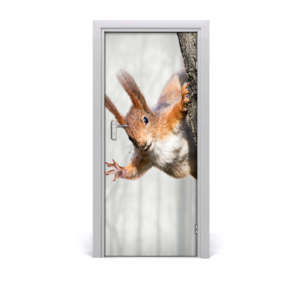 Self-adhesive door sticker Squirrel on the tree