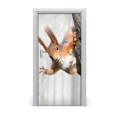 Self-adhesive door sticker Squirrel on the tree