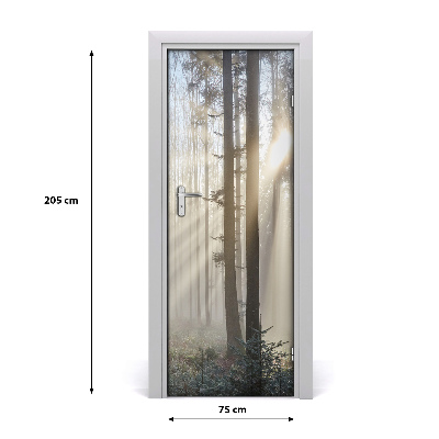 Door wallpaper Fog in the forest