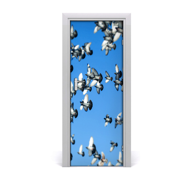 Door wallpaper Pigeons in the sky