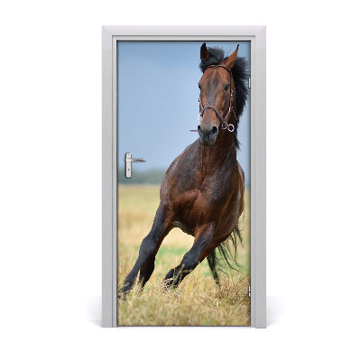 Self-adhesive door sticker Wall horse on the field