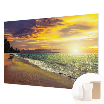 Wall mural depicting a beach at sunset