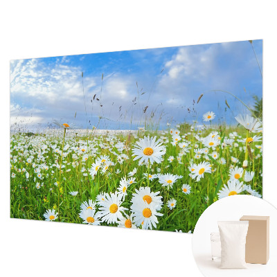 Non-woven photo wallpaper with a summer meadow motif