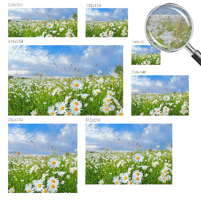 Non-woven photo wallpaper with a summer meadow motif