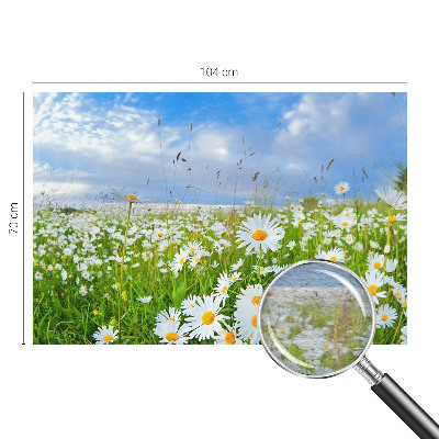 Non-woven photo wallpaper with a summer meadow motif