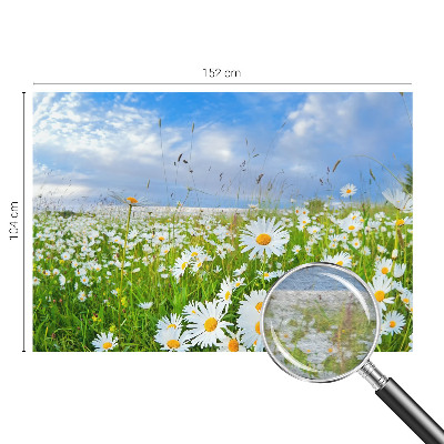 Non-woven photo wallpaper with a summer meadow motif