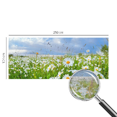 Non-woven photo wallpaper with a summer meadow motif