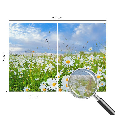Non-woven photo wallpaper with a summer meadow motif