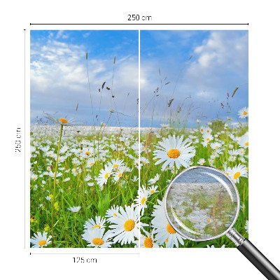 Non-woven photo wallpaper with a summer meadow motif