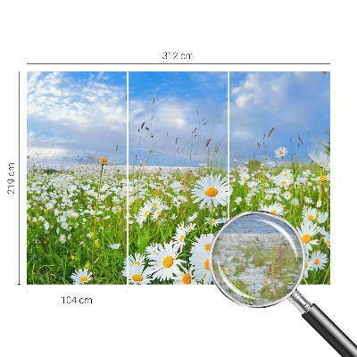 Non-woven photo wallpaper with a summer meadow motif
