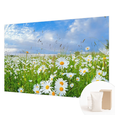 Non-woven photo wallpaper with a summer meadow motif