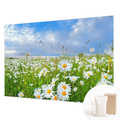 Non-woven photo wallpaper with a summer meadow motif