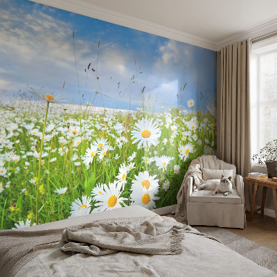 Non-woven photo wallpaper with a summer meadow motif