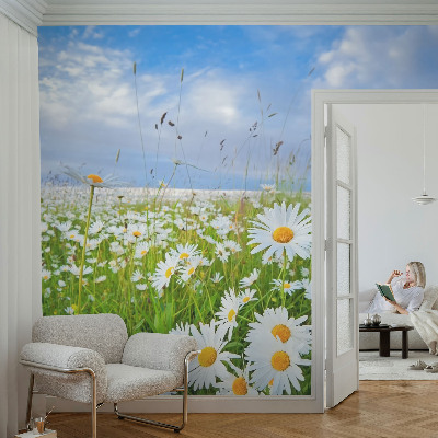 Non-woven photo wallpaper with a summer meadow motif