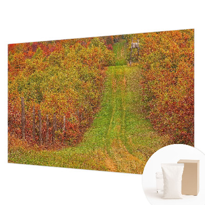 Photo wallpaper with autumn colors motif