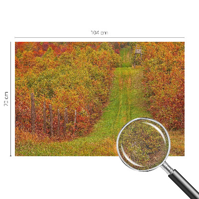 Photo wallpaper with autumn colors motif