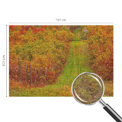 Photo wallpaper with autumn colors motif