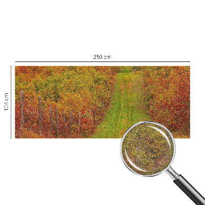 Photo wallpaper with autumn colors motif