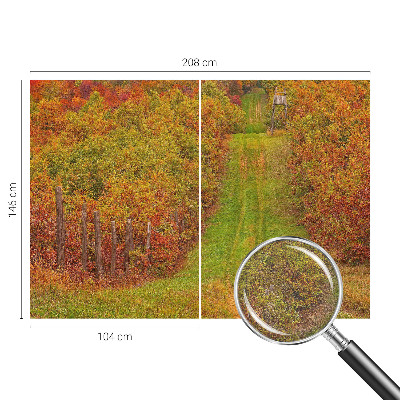 Photo wallpaper with autumn colors motif