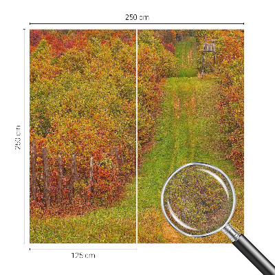 Photo wallpaper with autumn colors motif