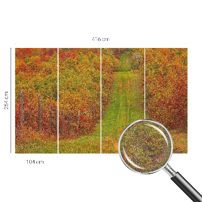 Photo wallpaper with autumn colors motif