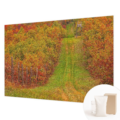 Photo wallpaper with autumn colors motif