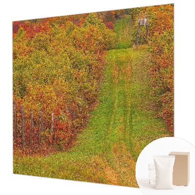 Photo wallpaper with autumn colors motif