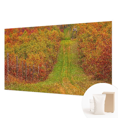Photo wallpaper with autumn colors motif