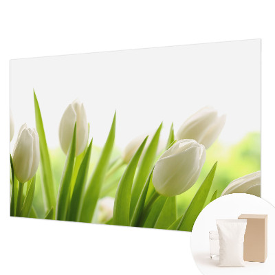 Photo wall mural with white tulips