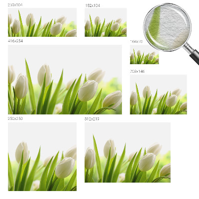 Photo wall mural with white tulips